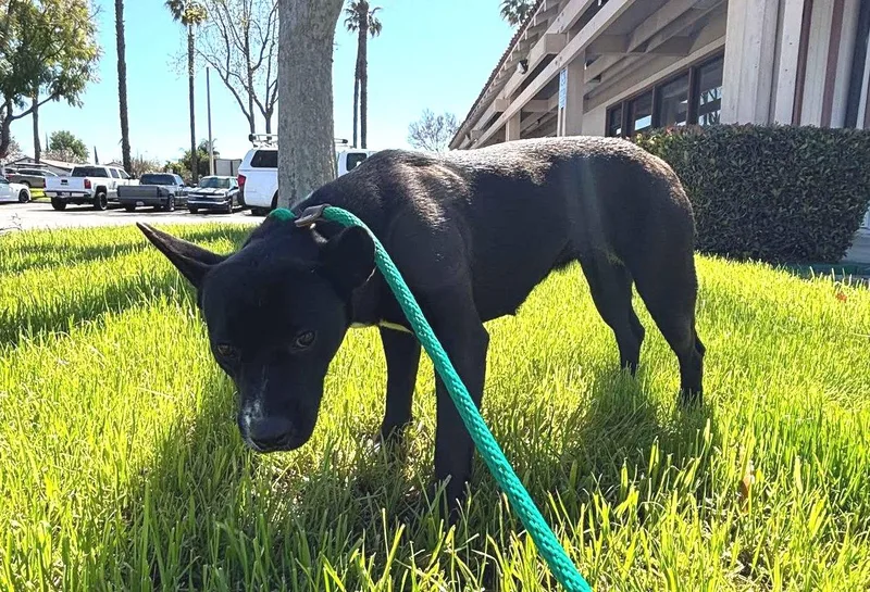 Franco & Brie thumbnail 3