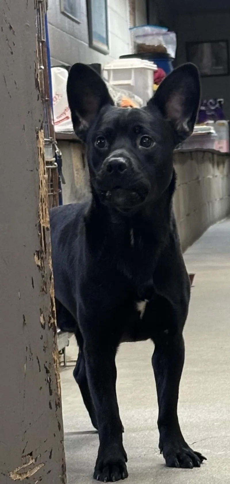 Franco & Brie thumbnail 4