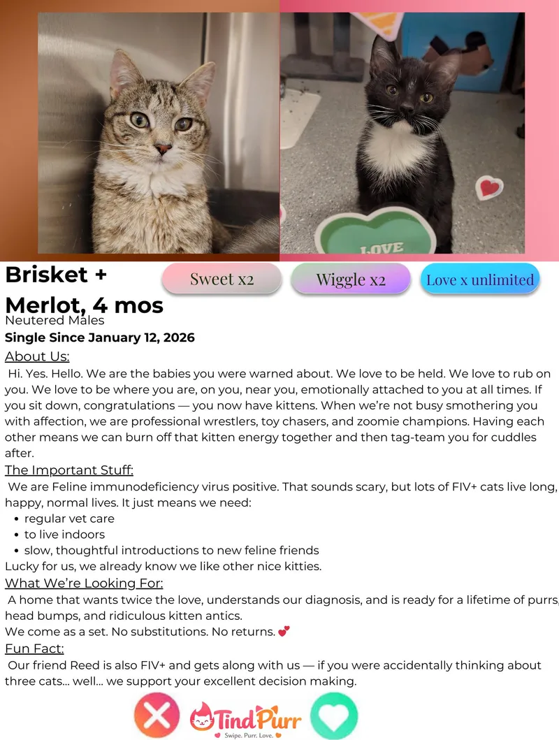 Brisket + Merlot thumbnail 2