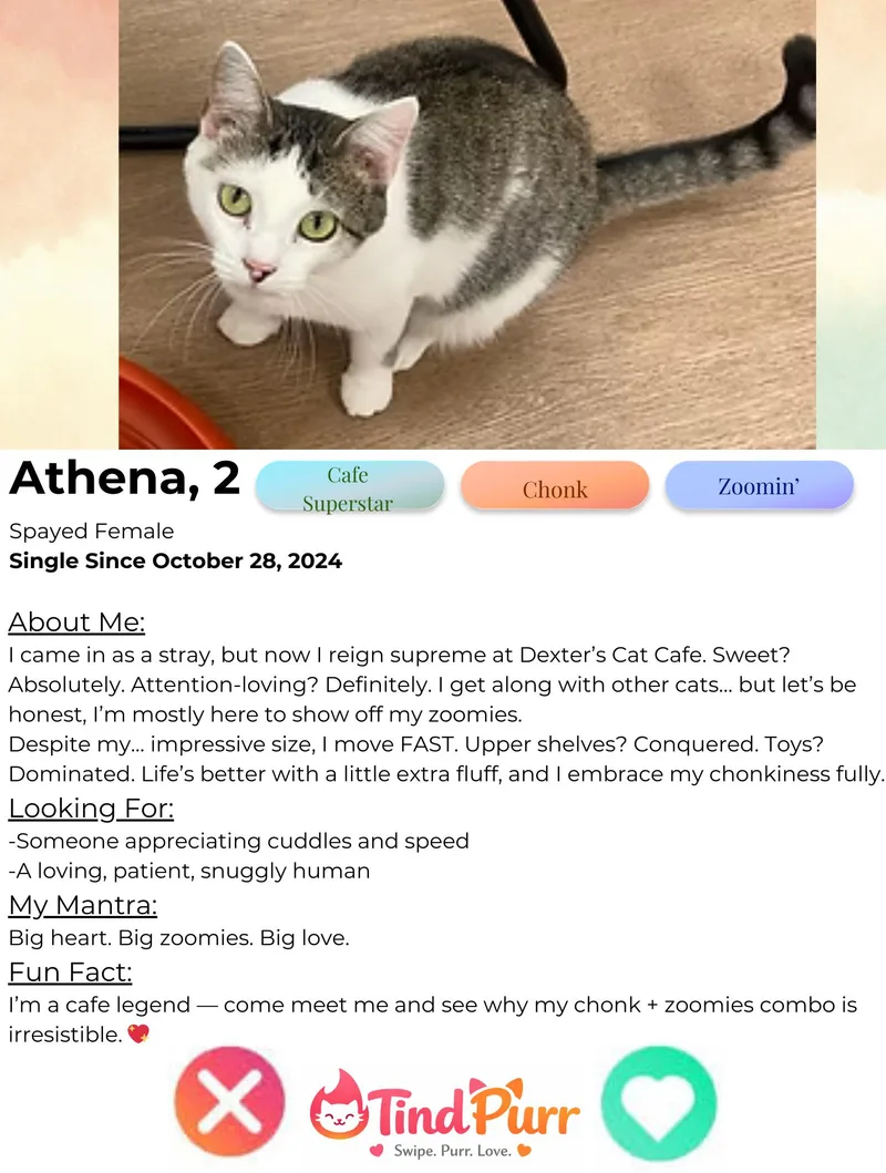 Athena thumbnail 2