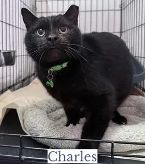 Charles