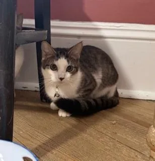 Rorschach thumbnail 2