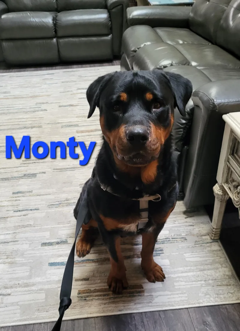 Monty