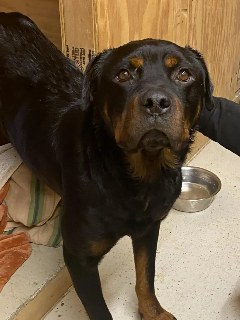 Blake  Bonded To thumbnail 3