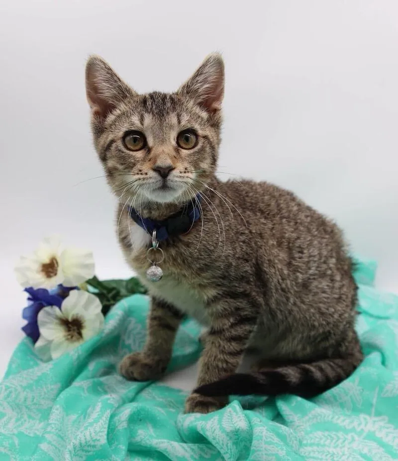 Tito  Mcdreamy thumbnail 6