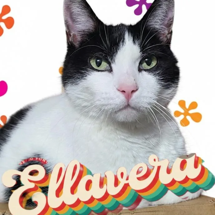 Ellavera The Highaltitude Queen thumbnail 3