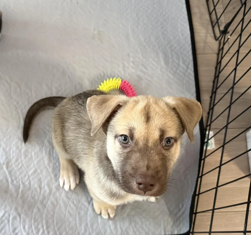 Martin Cheers thumbnail 2