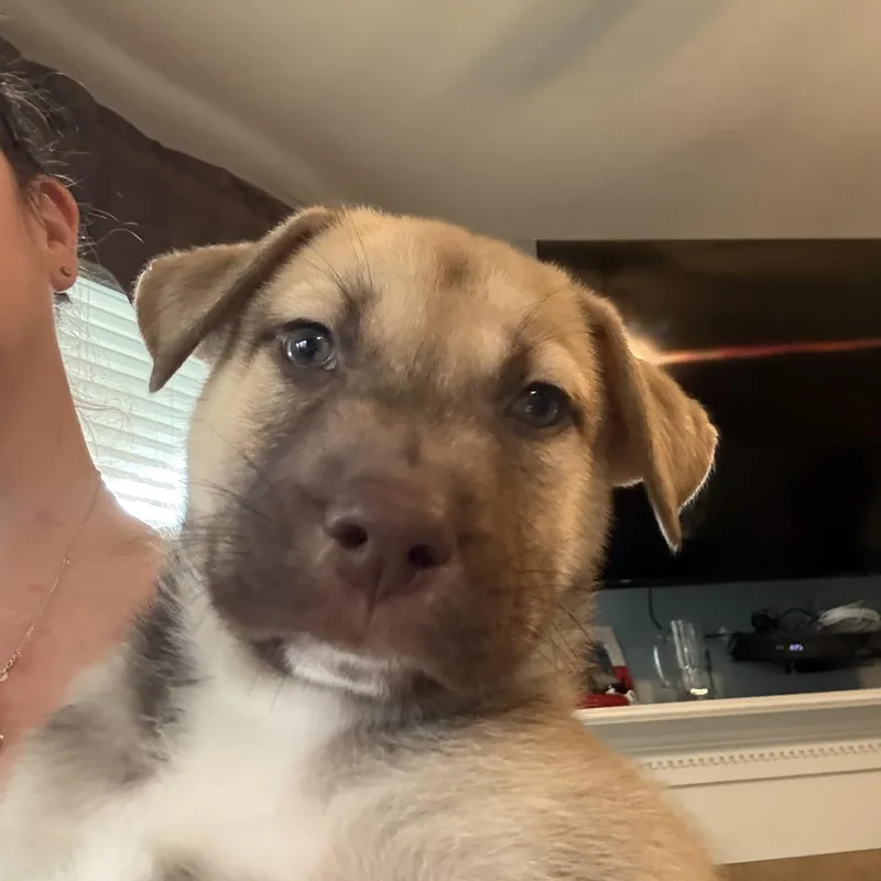 Martin Cheers thumbnail 3