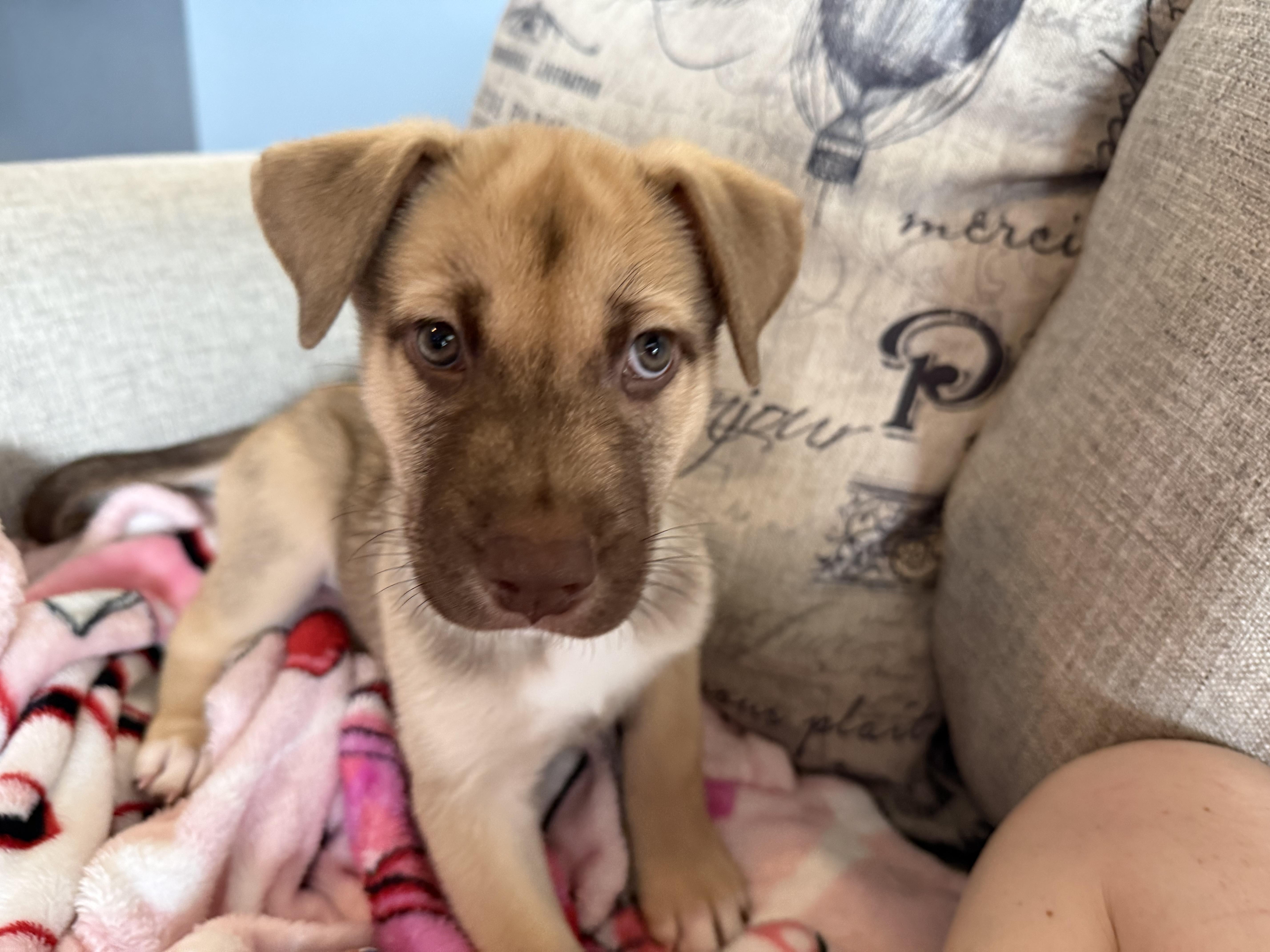 Martin Cheers thumbnail 4