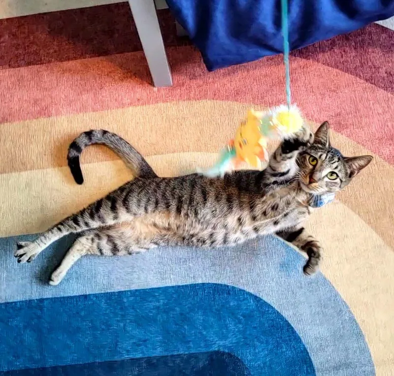 Manolo Meltsinyourarms thumbnail 2