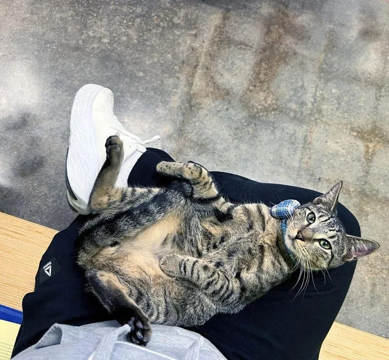 Manolo Meltsinyourarms thumbnail 3