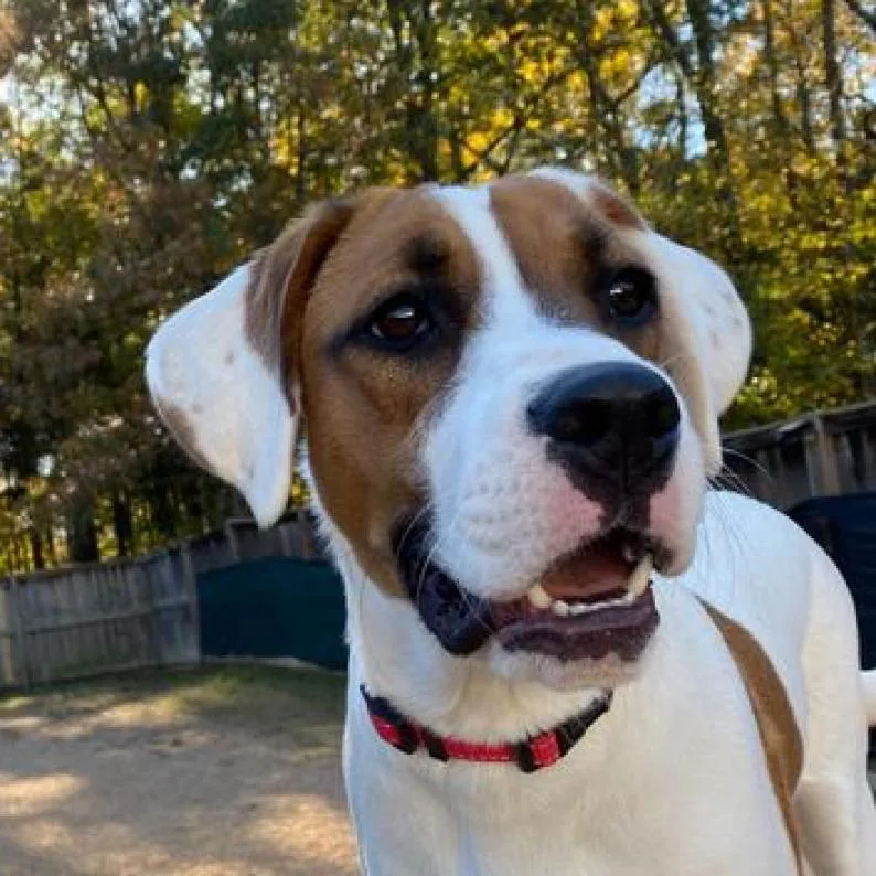 Faith Baby thumbnail 2