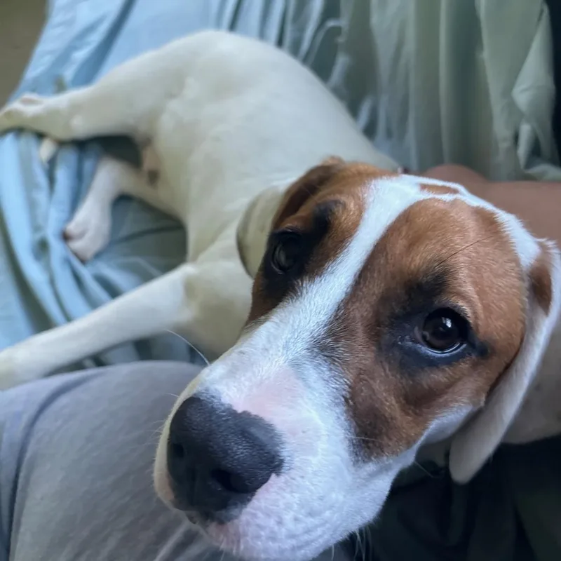 Faith Baby thumbnail 3