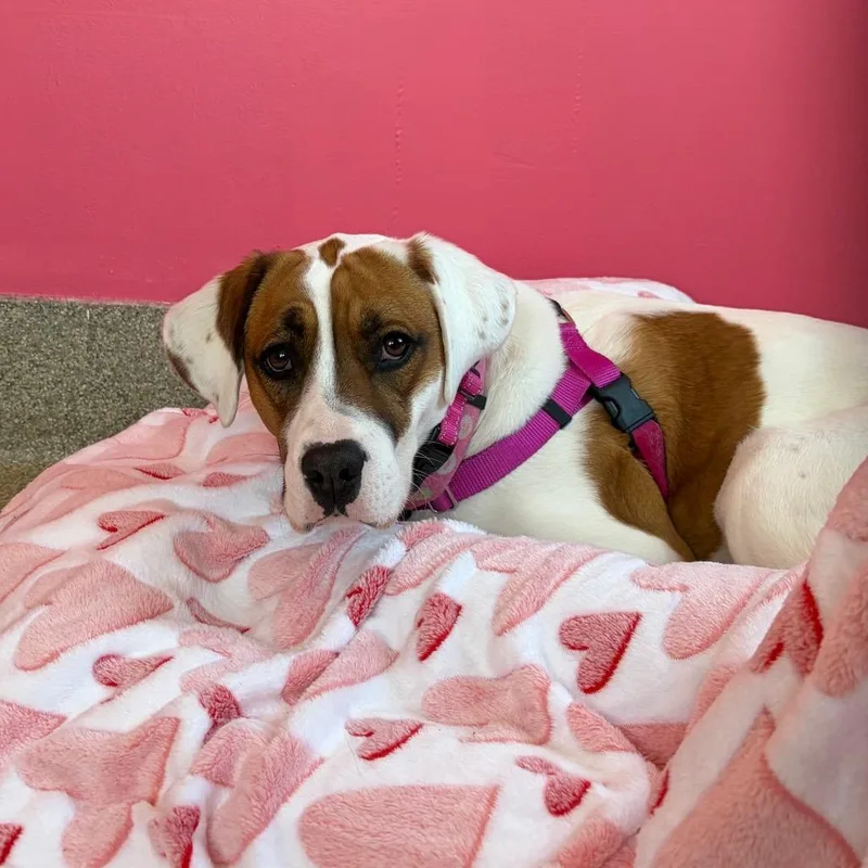 Faith Baby thumbnail 4