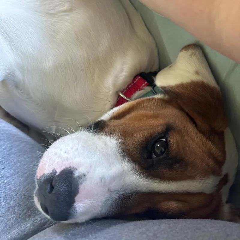 Faith Baby thumbnail 5