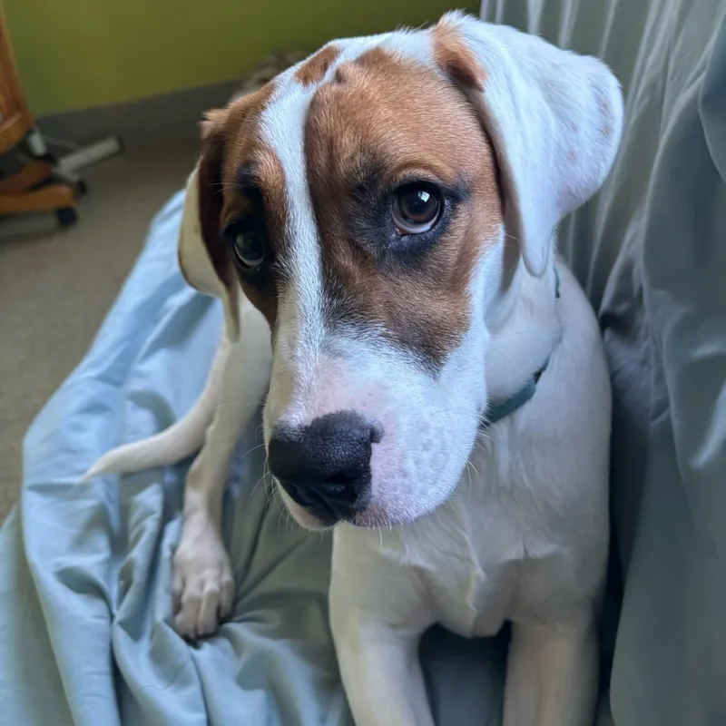 Faith Baby thumbnail 6