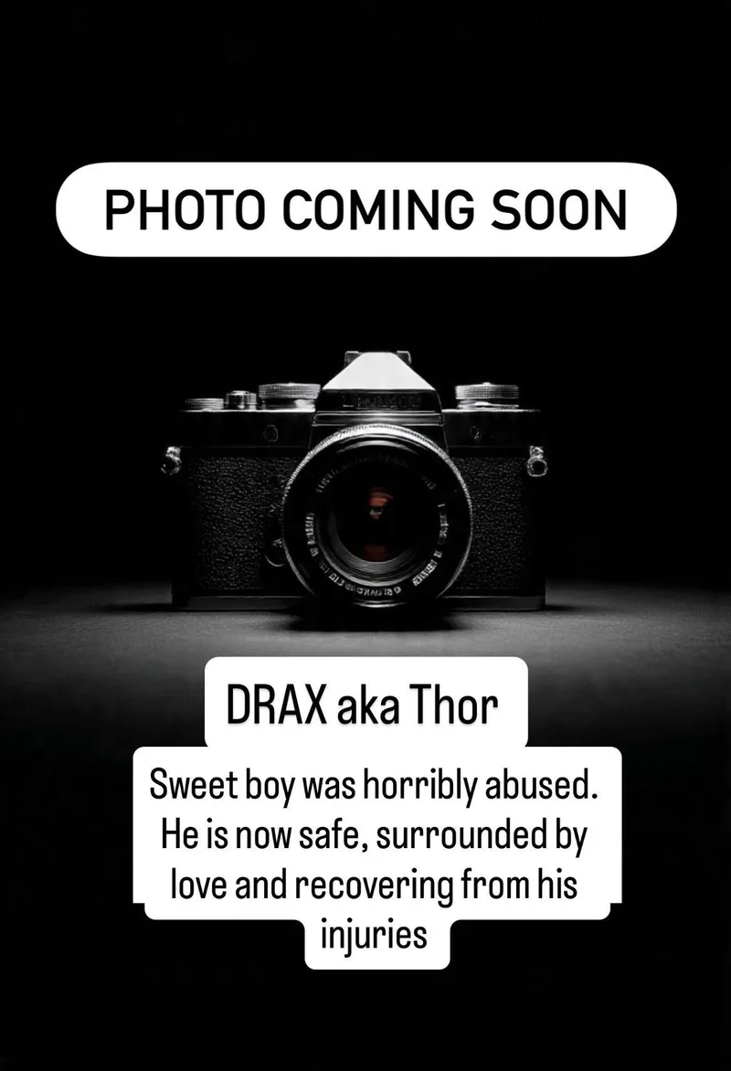 Drax Aka Thor