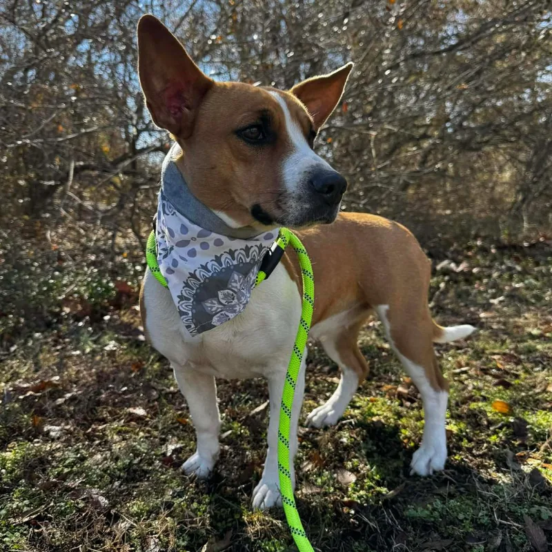 Goldie Hawn thumbnail 2