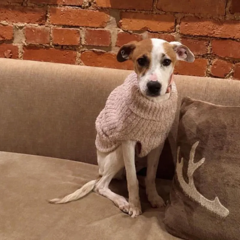 Sally Sue thumbnail 3