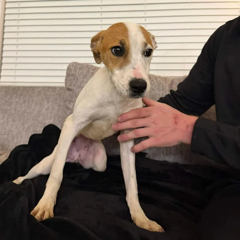 Sally Sue thumbnail 4