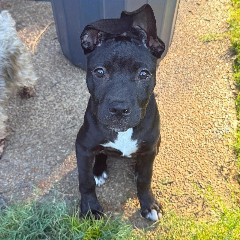 Mikayla Aka Mikki thumbnail 2