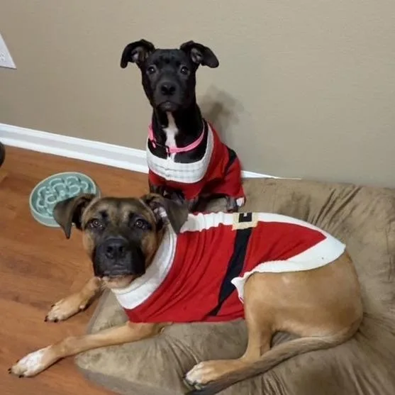 Mikayla Aka Mikki thumbnail 3