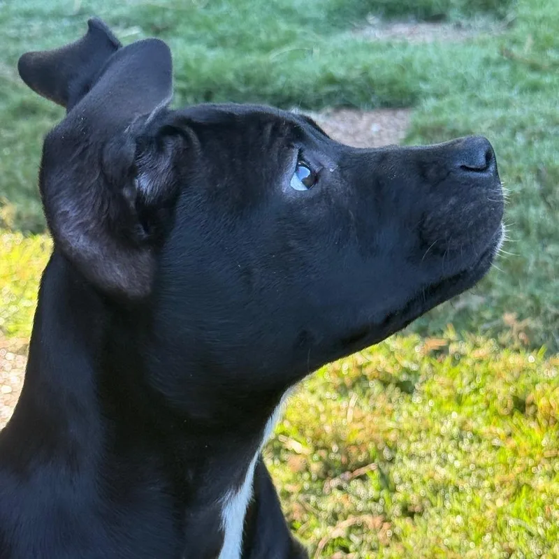 Mikayla Aka Mikki thumbnail 4