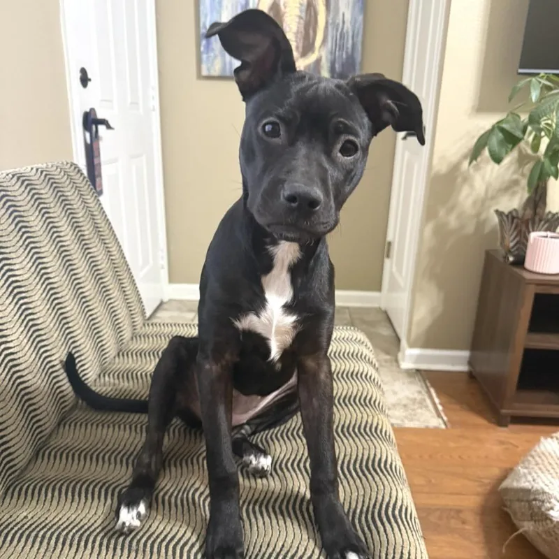 Mikayla Aka Mikki thumbnail 5