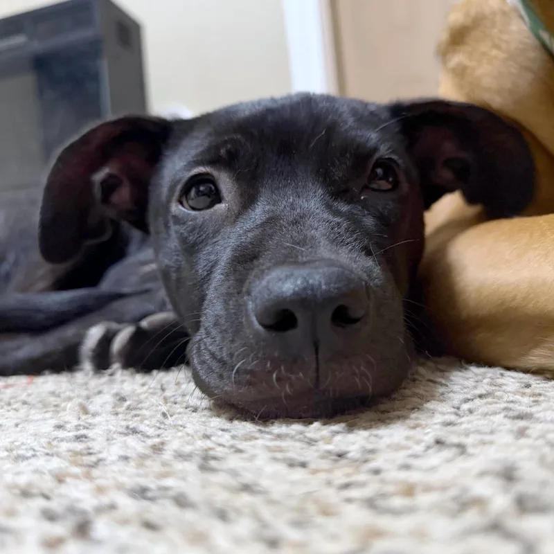 Mikayla Aka Mikki thumbnail 6