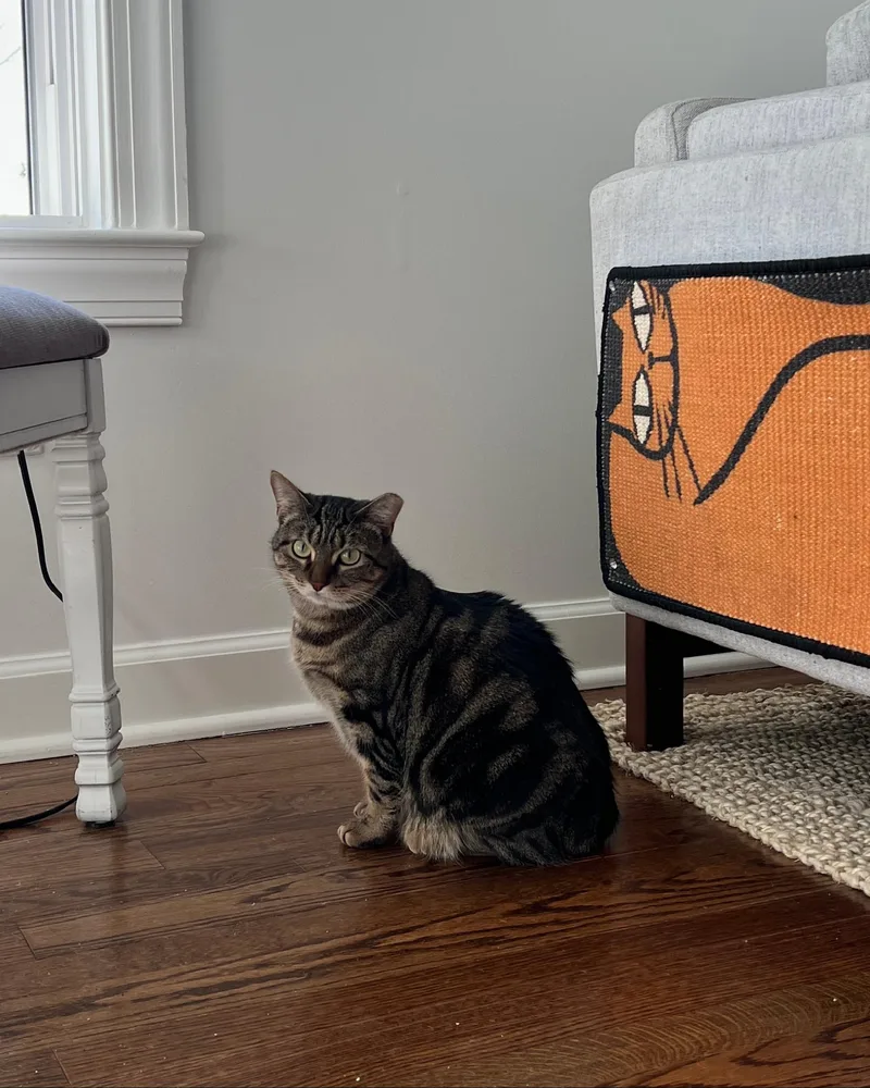 Tiger  A Green thumbnail 4