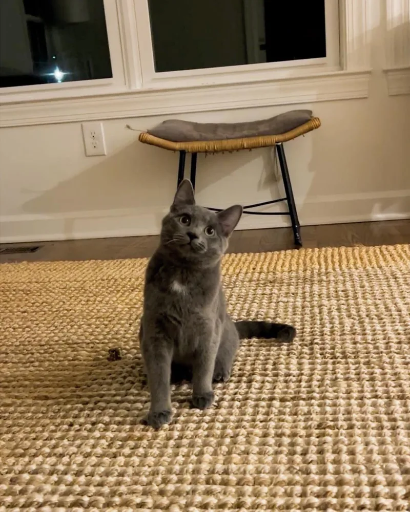 Stormy   Months thumbnail 3