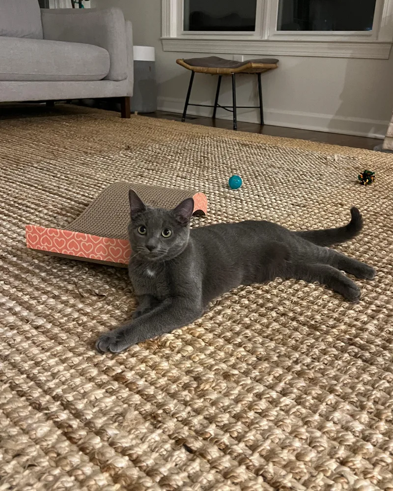 Stormy   Months thumbnail 4