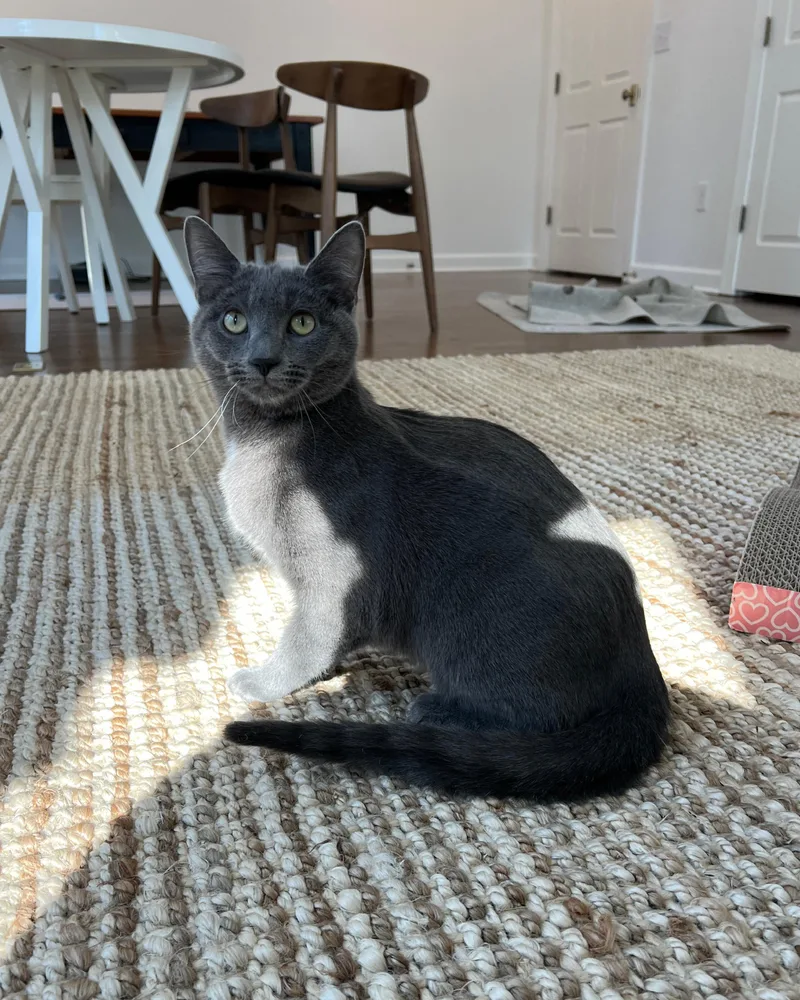 Stormy   Months thumbnail 5