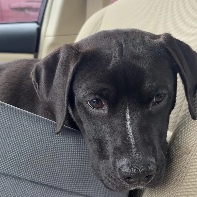 Tinkerbell thumbnail 2