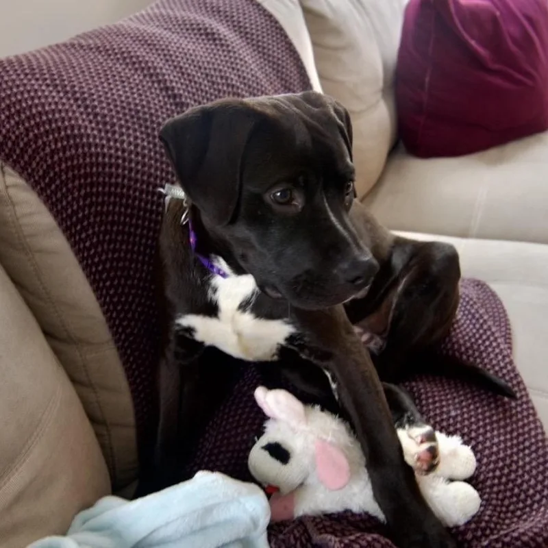 Tinkerbell thumbnail 3