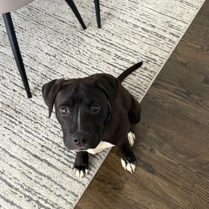 Tinkerbell thumbnail 4