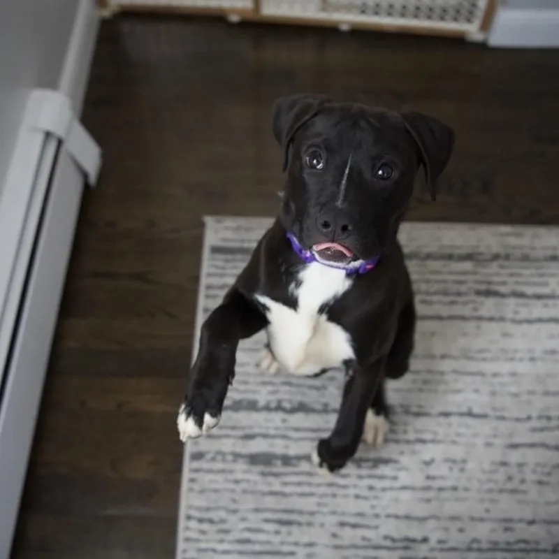 Tinkerbell thumbnail 5