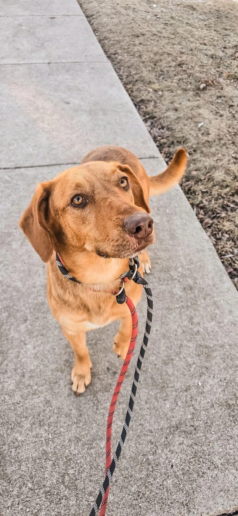 Brittany thumbnail 2