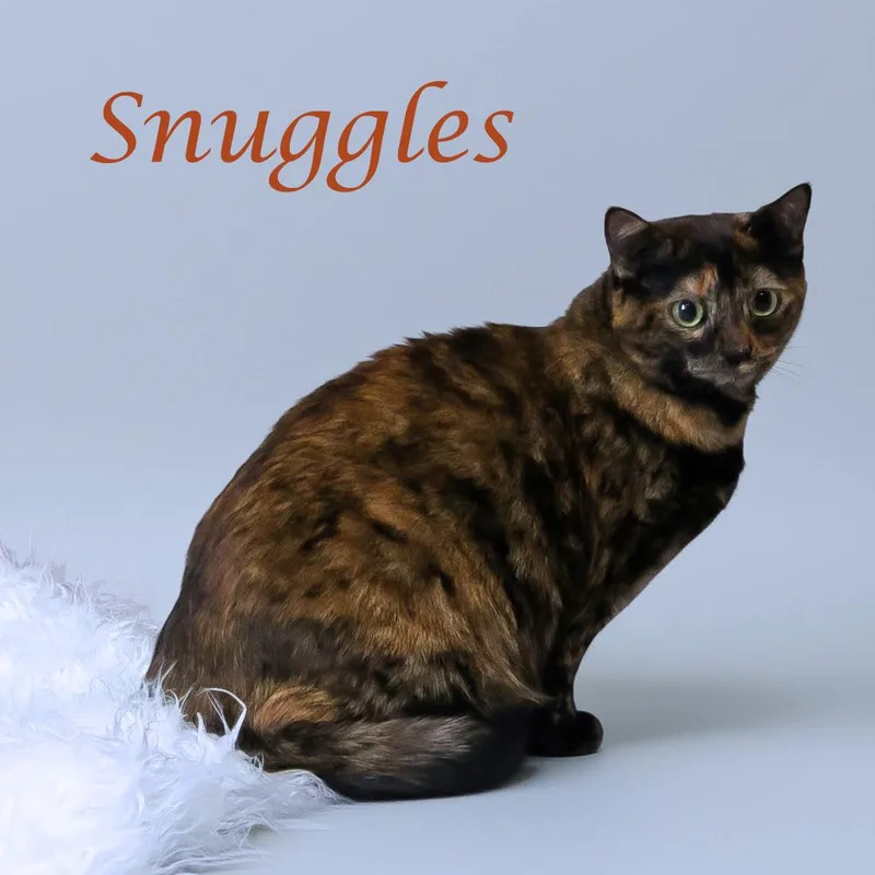Snuggles C