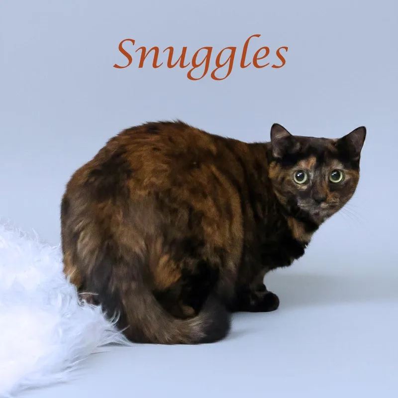 Snuggles C thumbnail 4