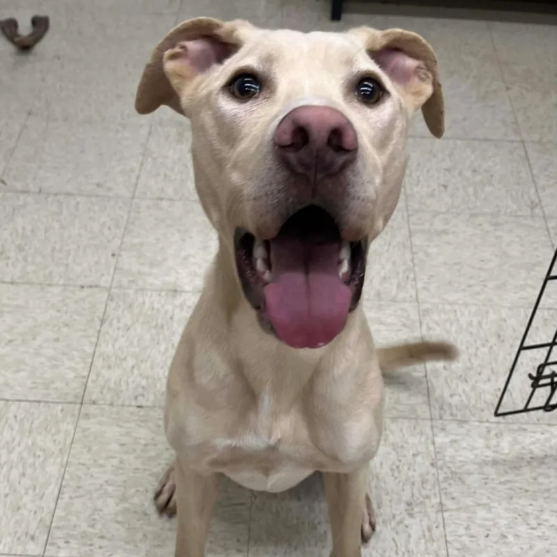 Jonathan thumbnail 3