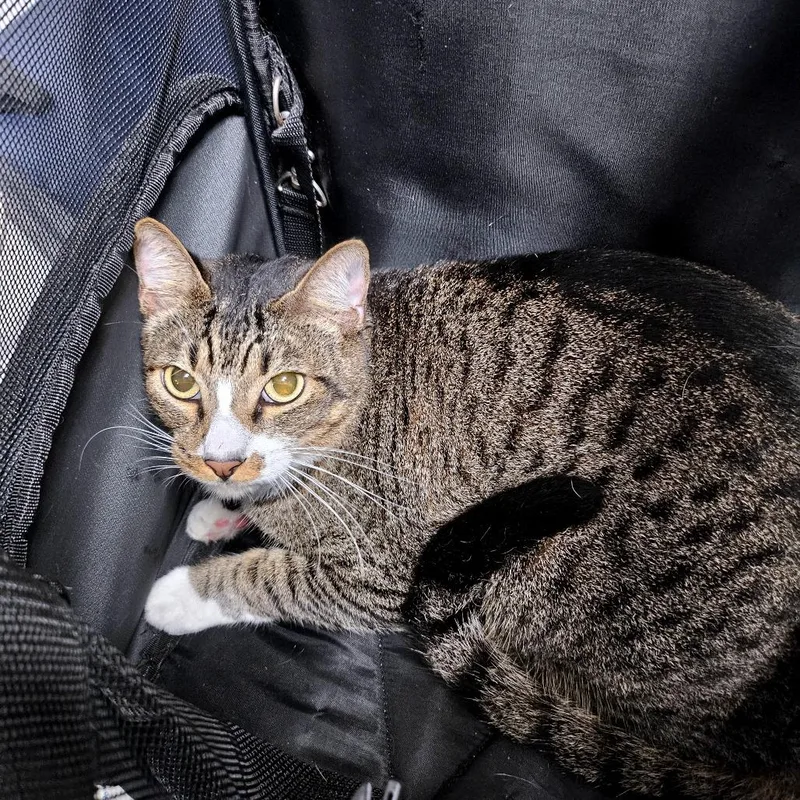 Heartboy thumbnail 2