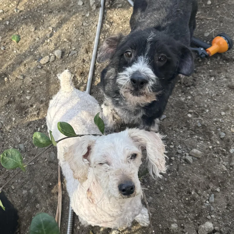 Ms. Cutie Maddy thumbnail 2