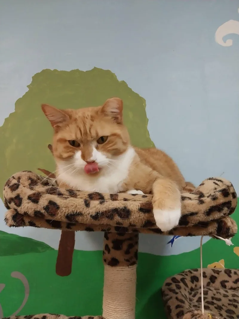 Turkey And Felicia thumbnail 5