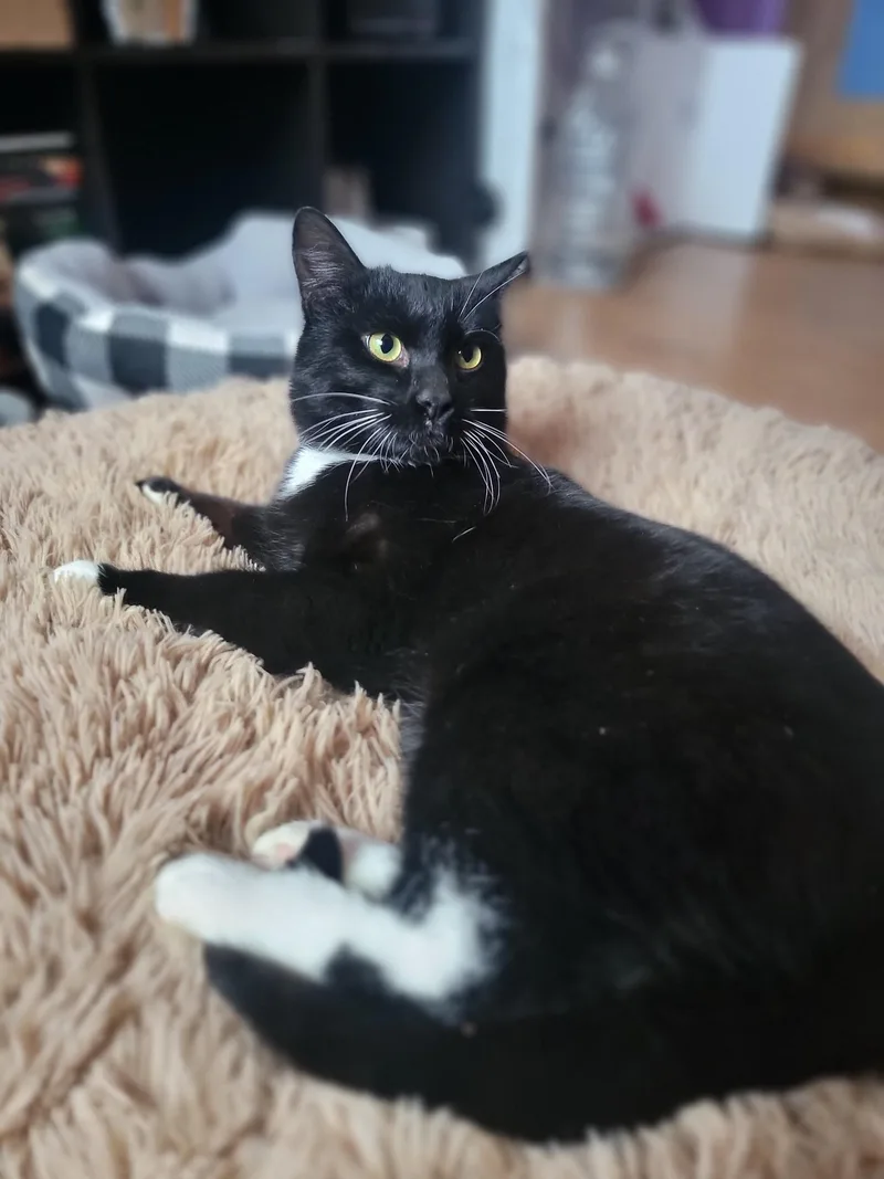 James Bond thumbnail 2