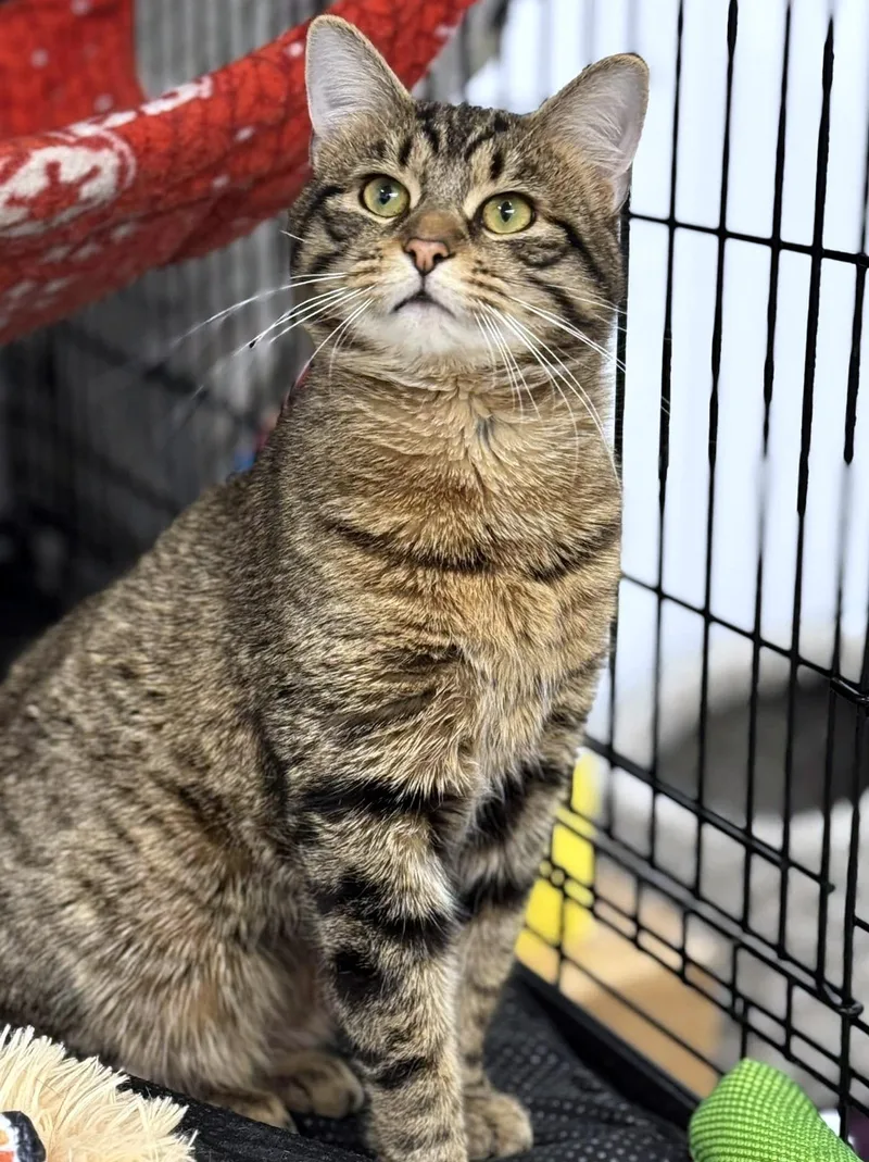 Sturgill thumbnail 2