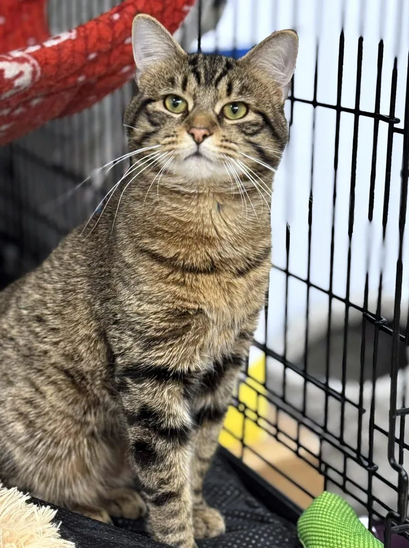 Sturgill thumbnail 5