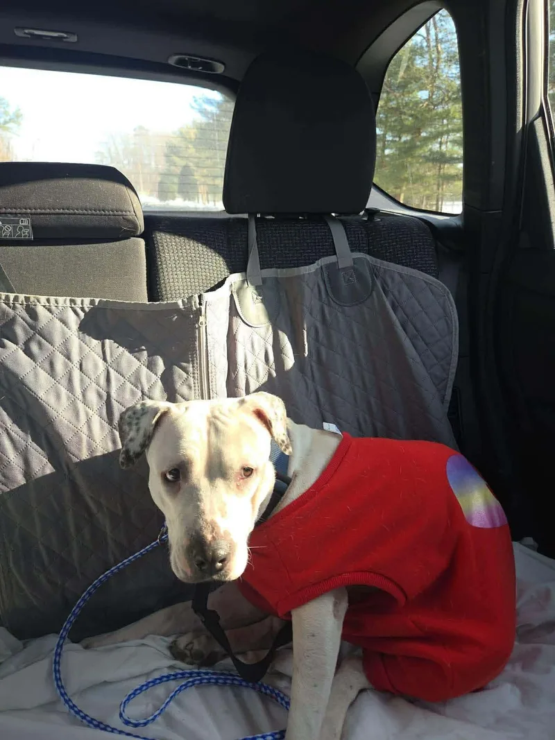 Valentina thumbnail 3