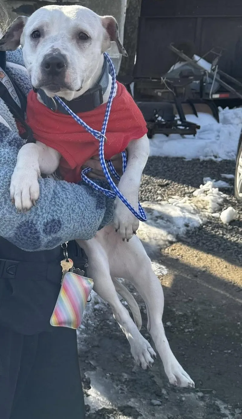 Valentina thumbnail 4