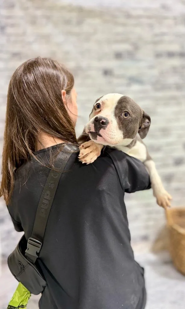 Valentine thumbnail 2